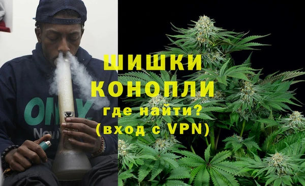 тгк Володарск