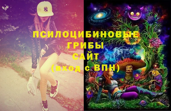 тгк Володарск