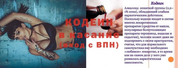 СК Волоколамск
